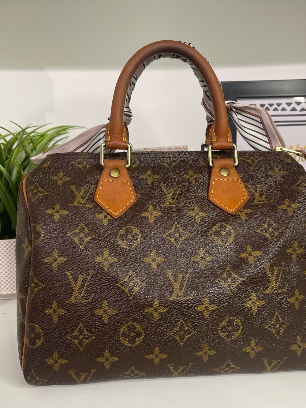 Louis Vuitton Monogram Speedy 25